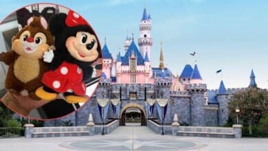 A photo of Disneyland’s Sleeping Beauty Castle with an inset circle showing plush toys of Chip the chipmunk and Minnie Mouse being held in someone’s hand called Labubus.