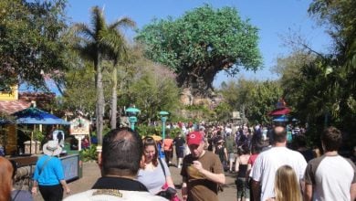 Crowds of people in front of the Tree of Life at Disney's Animal Kingdom Theme Park