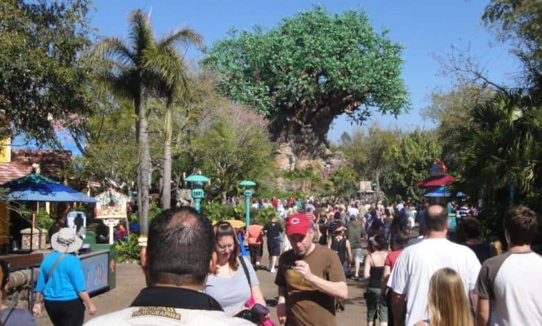Crowds of people in front of the Tree of Life at Disney's Animal Kingdom Theme Park