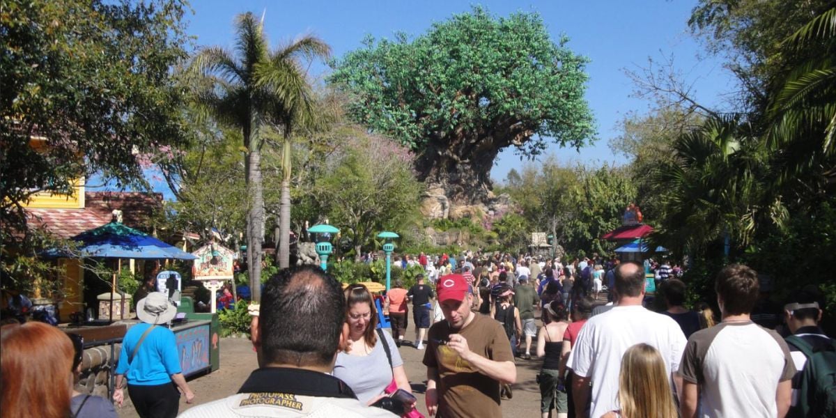 Crowds of people in front of the Tree of Life at Disney's Animal Kingdom Theme Park