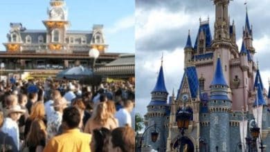 Split image: On the left, a large crowd gathers near a grand entrance building; on the right, a fairytale castle with blue rooftops stands under a cloudy sky.