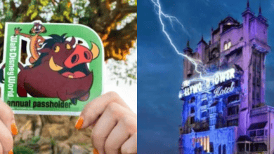 A person holds a Disney World annual passholder sticker featuring Timon and Pumbaa on the left; on the right is the Tower of Terror hotel ride, illuminated at night with lightning effects.