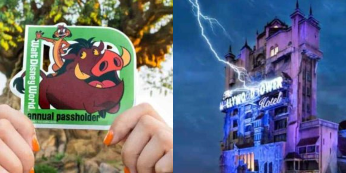 A person holds a Disney World annual passholder sticker featuring Timon and Pumbaa on the left; on the right is the Tower of Terror hotel ride, illuminated at night with lightning effects.