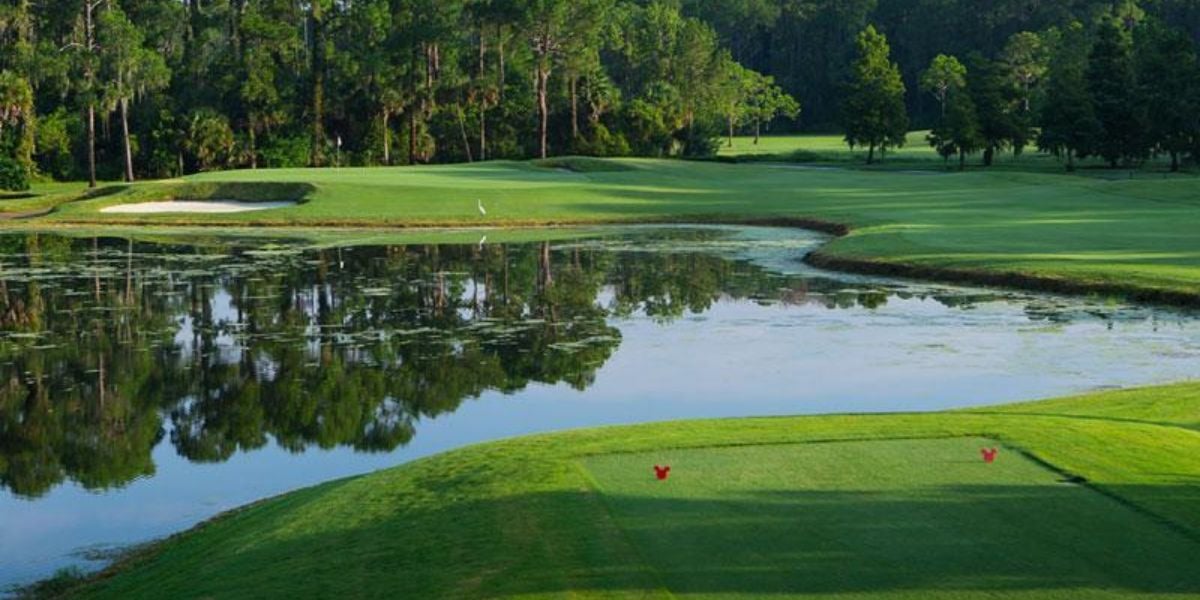 Disney's Palm Golf Course