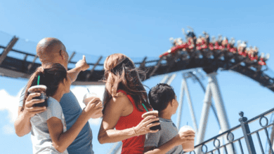 A family of four holding drinks looks up at a roller coaster with riders speeding by overhead on a sunny day, with the father pointing toward the ride.