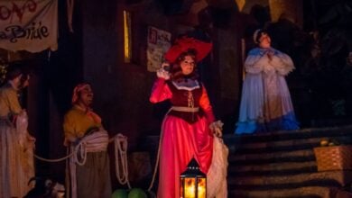 The old bride auction scene on the Pirates of the Caribbean ride
