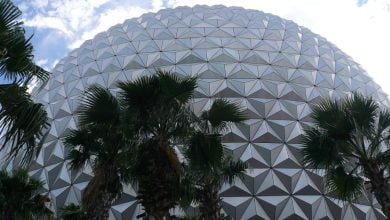 Palm trees in front of Spaceship Earth at EPCOT