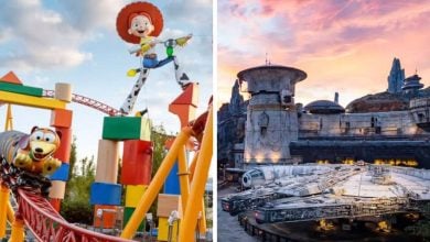 Split image: On the left, Slinky Dog Dash in Toy Story Land. On the right, the Millennium Falcon in Star Wars: Galaxy's Edge. Both photos are from Disney's Hollywood Studios.