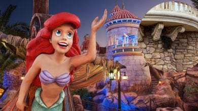 Journey of the Little Mermaid in the Magic Kingdom with an insert of bees around the ride
