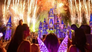 Disney Enchantment Fireworks Magic Kingdom