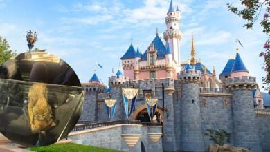 An image of Sleeping Beauty Castle with an insert of a dog left in a car