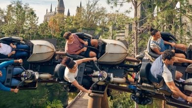 Hagrid's Magical Creatures Motorbike Adventure