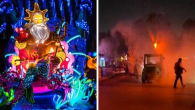 (Left) Paint the Night Parade Disneyland, (Right) Paint the Night Fire