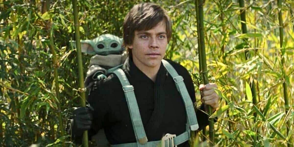 Luke Skywalker with Grogu in a backpack