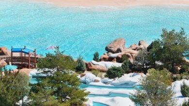 A view of a bright blue wave pool in the water park, bordered by sand, large rocks, trees, and a winding lazy river with a wooden bridge and greenery.
