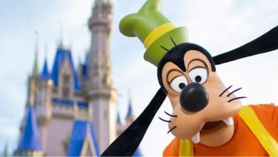 Goofy, a Disney character in an orange shirt and green hat, leans in playfully toward the camera with a blurred Cinderella Castle in the background at a Disney theme park.