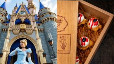 A split image: on the left, a person dressed as Cinderella stands in front of a castle; on the right, a wooden box contains eyeball-shaped desserts with red icing resembling blood.
