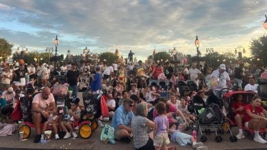 A large crowd of people, including families with children and strollers, sits and waits outdoors at an amusement park under a cloudy sky, with lampposts and trees in the background.