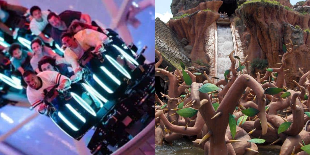 Split image: left side shows people riding a fast, glowing roller coaster indoors; right side features an outdoor log flume water ride with a steep drop and decorative branches in the foreground.