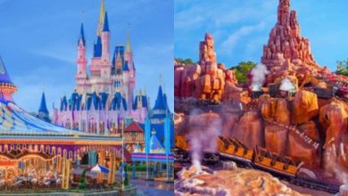A split image shows a colorful carousel and a pink castle on the left, and a rugged, red mountain with a roller coaster train on the right, both in a vibrant amusement park setting.
