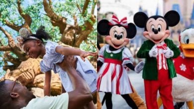A smiling adult lifts a happy child wearing mouse ears in front of a tree; next to them, people in Mickey, Minnie, and Donald Duck costumes stand together at a theme park.