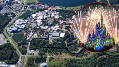 Aerial view of a theme park complex surrounded by greenery, with an inset showing a brightly lit castle with colorful projections and fireworks in the night sky.
