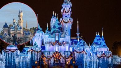Sleeping Beauty Castle at Disneyland decorated with festive holiday lights at night, with a circular inset showing the same castle during the day with no lights or decorations.