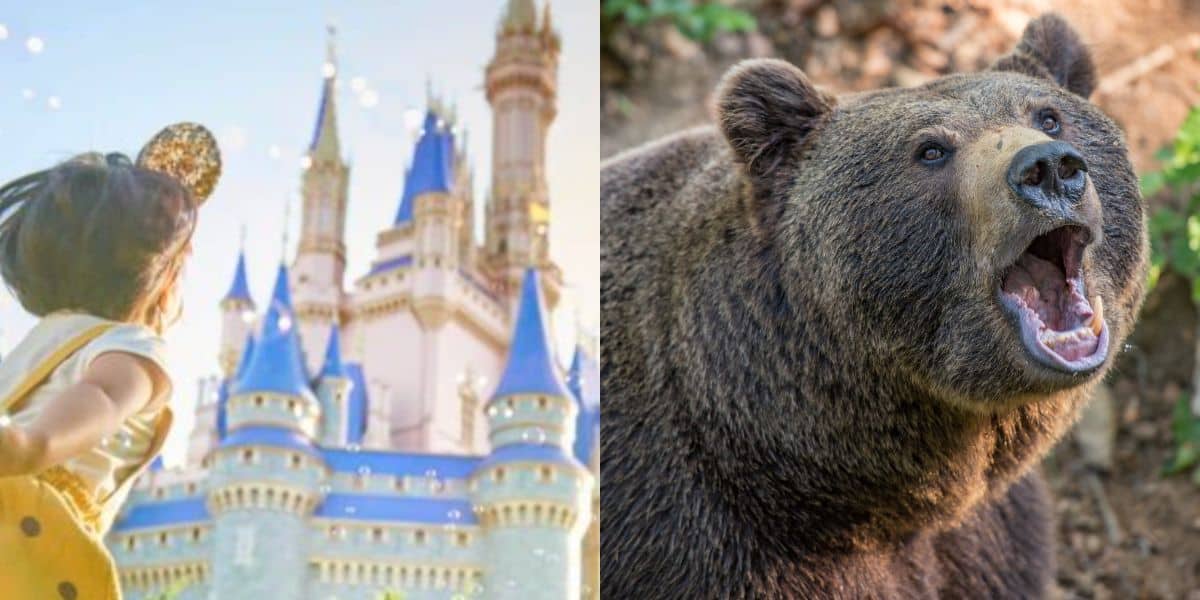 On the left, a child in mouse ears gazes at a fairytale castle. On the right, a brown bear stands with its mouth open, showing its teeth.