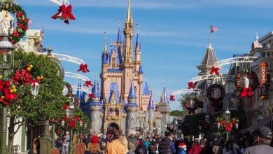 Walt Disney World Resort's Magic Kingdom at Christmas