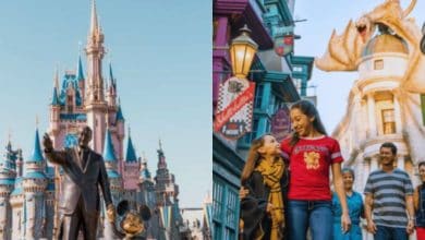 A split image shows Cinderella Castle at Disney World with a Walt Disney statue on the left, and families walking in the Wizarding World of Harry Potter at Universal Studios with a dragon on a building on the right.
