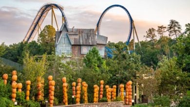 A roller coaster with blue tracks loops behind a rustic building labeled "Mystery Mine," surrounded by trees and a display of stacked orange pumpkins.