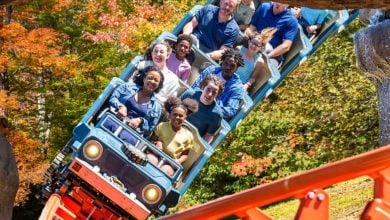 Guests ride a roller coaster at Dollywood during fall
