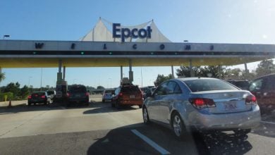 Cars at the entrance plaza to EPCOT.
