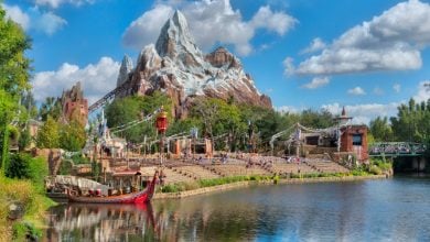 wide view of Expedition Everest rollercoaster in Disney World's Animal Kingdom