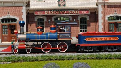 Hong Kong Disneyland Railroad train at the station