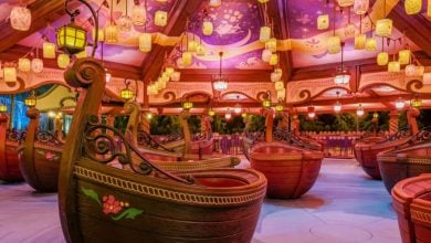 Raiponce Tangled Spin at Disneyland Paris