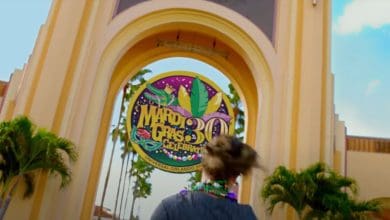 guest walks toward universal studios florida entrance for mardi gras celebration