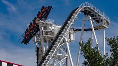 Thrill-seekers dangle vertically on a towering coaster as the train ascends, set against a clear blue sky at the theme park.