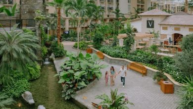 Guests stroll as a family along the garden path beside the pond inside Epcot’s lush Living with the Land atrium.