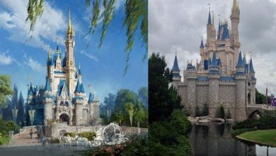 Cinderella Castle showcased side-by-side: a classic illustration and an actual Magic Kingdom photo beneath overcast skies.