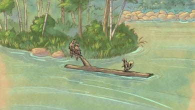 Rocky and Bandit, the raccoon duo, lounge on River Adventure’s log; Skippy the skunk greets visitors near Forest Isle.