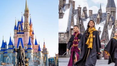 a split image with Cinderella Castle in Disney World on the left and three kids wearing Harry Potter robes in Universal's Hogsmeade area on the right