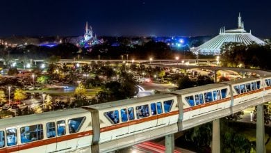wide shot of Disney World's monorail gliding through Magic Kingdom
