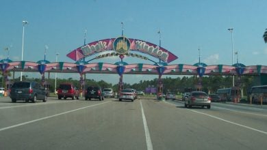 Guests driving toward the entrance of Magic Kingdom Park at Walt Disney World Resort.
