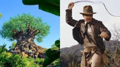 split image of tree of life in animal kingdom on the left and harrison ford using a whip as indiana jones