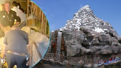 Left: Firefighters lifting a teenager with a broken ankle. Right: Matterhorn Bobsleds attraction.