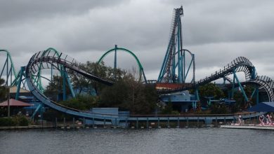 Mako at SeaWorld Orlando