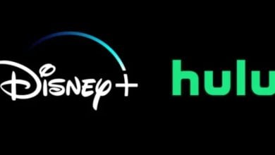 Disney+ and Hulu logos side by side