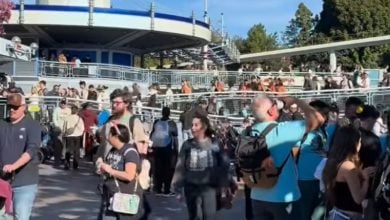 Guests after evacuating from Autopia