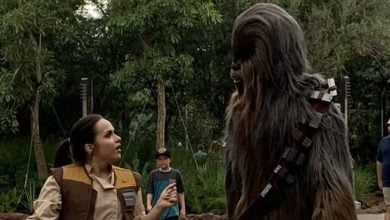 Chewbacca in Star Wars: Galaxy's Edge at Disney's Hollywood Studios.
